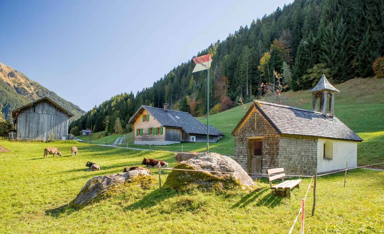 Ferienhaus Engstler Шрунс Экстерьер фото